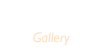 포토앨범